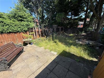 Picture 23